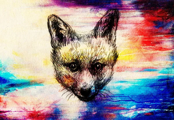 Portrait Renard Dessin Crayon Sur Papier Effet Couleur — Photo