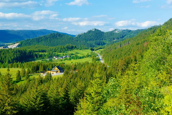 Landhaus Den Bergen Und Auf Der Grünen Wiese Slowakei — Stockfoto