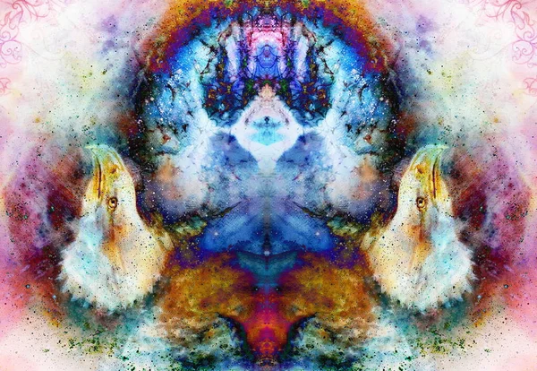 Коллаж Орлиной Головой Орнаментами Многоцветном Абстрактном Фоне — стоковое фото