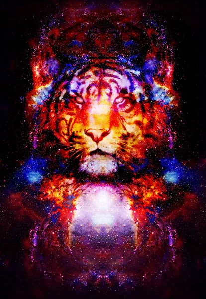 Magical Space Tiger Multicolor Computer Graphic Collage — Stock Photo, Image