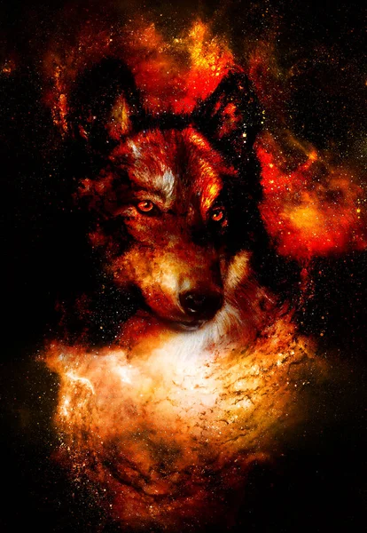 不思議な空間のオオカミ 多色コンピューター グラフィック コラージュ 宇宙火災 — ストック写真