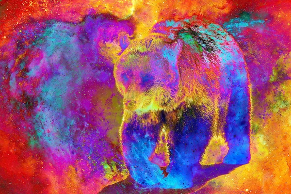 Puissant Ours Dans Espace Photos Effet Graphique Collage Informatique — Photo