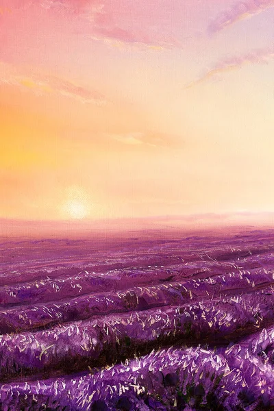 Magical Lavender Fields Dawn Oil Painting Canvas — Stock Photo, Image