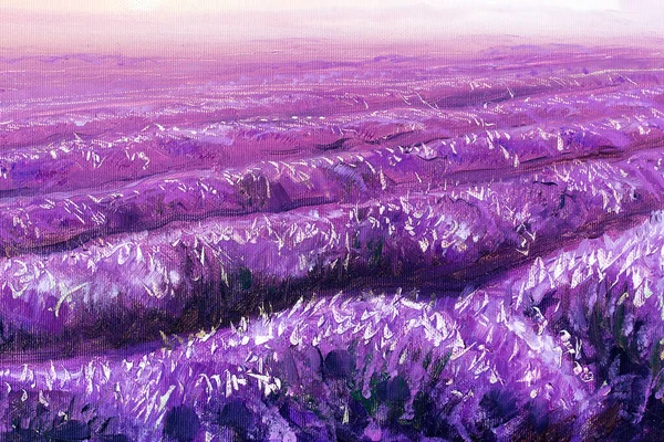 Belos Campos Lavanda Detalhe Pintura Óleo Sobre Tela — Fotografia de Stock