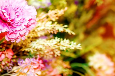 karanfil çiçek ve kopya alanı ile dekoratif çiçek grafik. hediye kartı nedeni