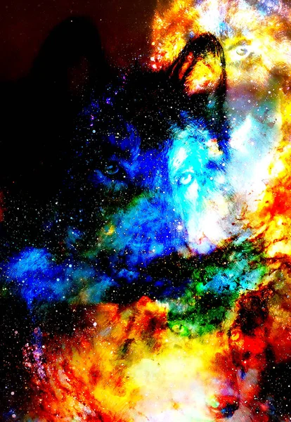 魔法の宇宙狼マルチカラーコンピュータグラフィックコラージュ — ストック写真
