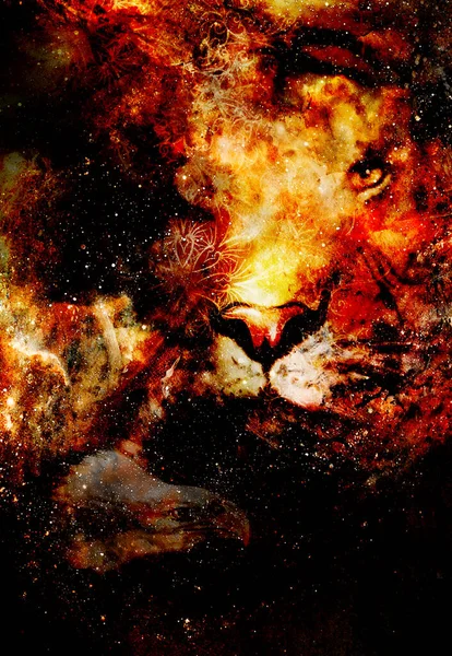 Silhouetten Von Tiger Und Adler Weltraum Computergrafik Collage — Stockfoto
