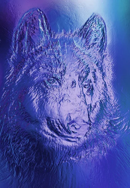 不思議な空間のオオカミ 多色コンピューター グラフィック コラージュ 金属とガラスの効果 — ストック写真