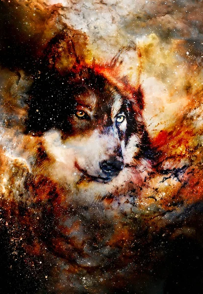 Zauberhafter Weltraumwolf Mehrfarbige Computergrafik Collage — Stockfoto