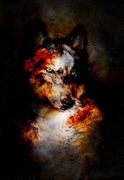 Magical Space Wolf Multicolor Computer Graphic Collage — Stock Photo, Image