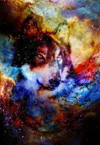 Magical Space Wolf Multicolor Computer Graphic Collage — Stock Photo, Image