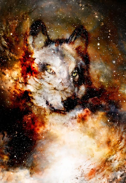 Волк Волшебник Многоцветный Компьютерный Графический Коллаж Космический Огонь — стоковое фото