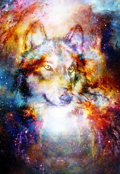 Magický Prostor Vlk Vícebarevná Počítačová Grafická Koláž — Stock fotografie