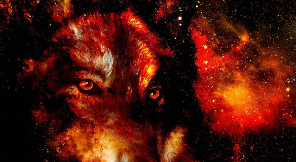 Magical Space Wolf Multicolor Computer Graphic Collage Space Fire — Stock Photo, Image