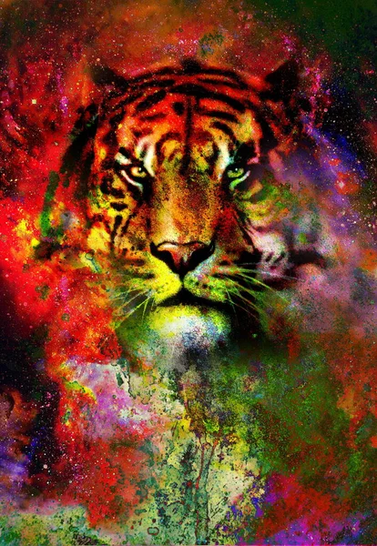 Tigre Espacio Mágico Collage Gráfico Multicolor Ordenador — Foto de Stock