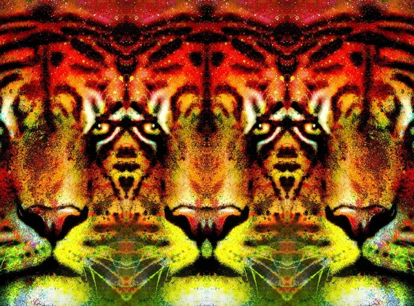 Colagem Ornamental Rosto Tigre Com Características Repetidas Gráfico Computador — Fotografia de Stock