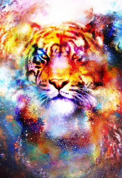 Магический Космический Тигр Многоцветный Компьютерный Графический Коллаж — стоковое фото