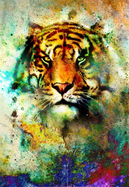 Poderoso Asiático Tigre Cabeça Abstrato Multicolor Estruturado Fundo — Fotografia de Stock