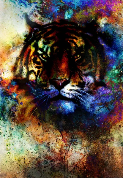 Collage Tigre Sur Fond Abstrait Couleur Structure Rouille Animaux Sauvages — Photo