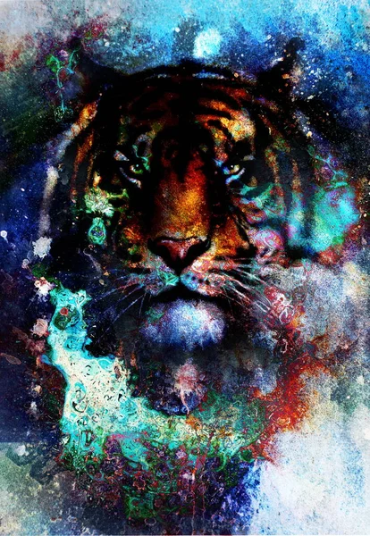 Puissant Asiatique Tigre Tête Sur Abstrait Multicolore Structuré Backgr — Photo