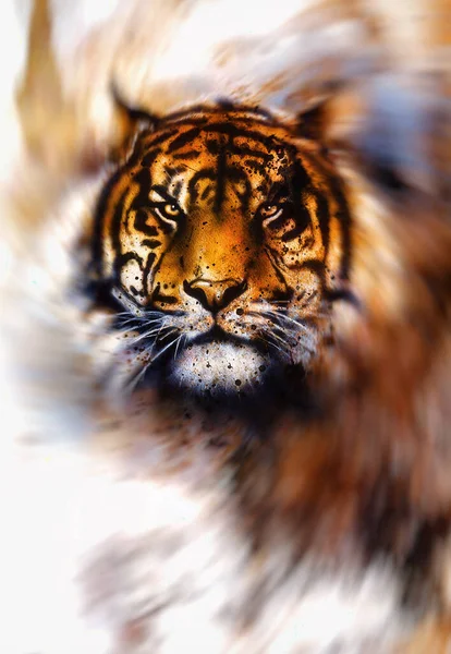 Magický Tygr Lehkém Víření Kreslení Airbrush Počítačová Grafická Koláž — Stock fotografie