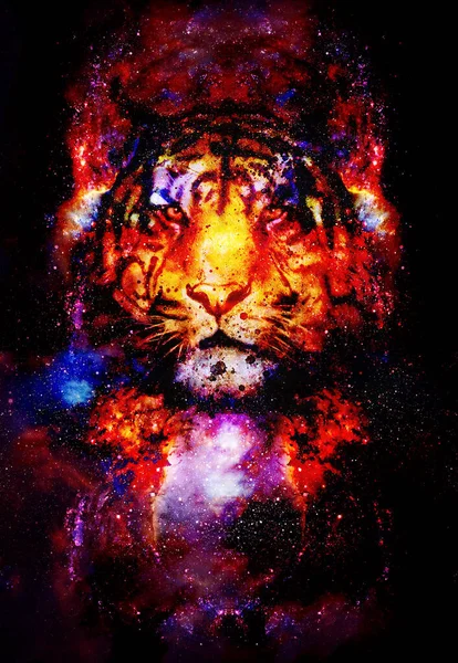 Tigre Espacio Mágico Collage Gráfico Multicolor Ordenador — Foto de Stock