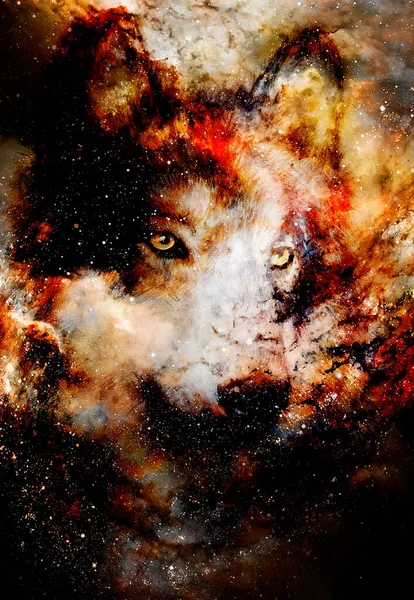 Lobo Espacial Mágico Colagem Gráfica Multicolorida Fogo Espacial — Fotografia de Stock