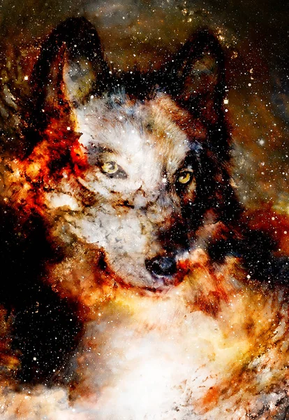 Magical Space Wolf Multicolor Computer Graphic Collage — Stock Photo, Image