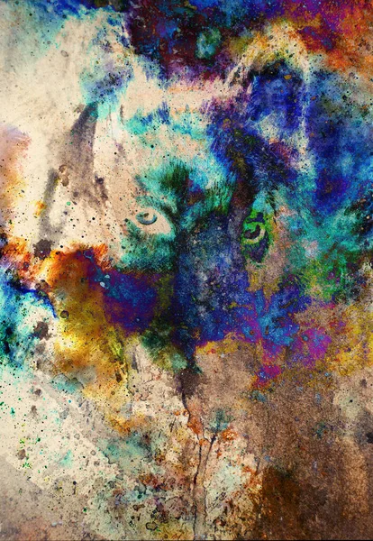Cabeça Lobo Madeira Fundo Estruturado Abstrato Colagem Gráfica Multicolor — Fotografia de Stock