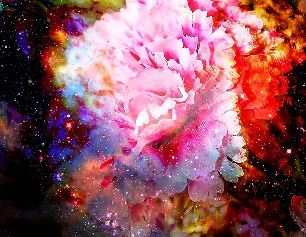 Abstracte Multicolor Bloem Motief Collage Ruimte Carnation Bloem — Stockfoto