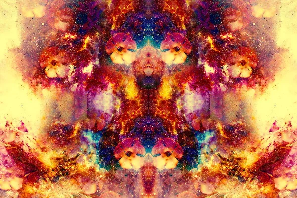 Abstraktní Květina Vícebarevné Motiv Koláž Efektem Dynamický Oheň Prostoru — Stock fotografie