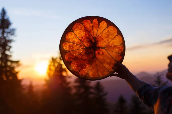 Tamburo Telaio Sciamano Mano Donna Nella Natura — Foto Stock