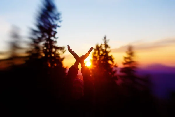 sun in hands. Sunset on the background of raised hands