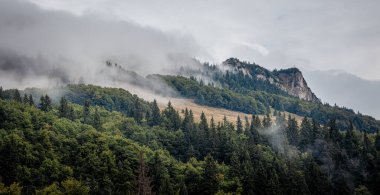 Güzel sabah dağları sisli