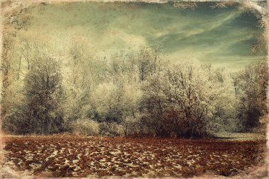 Güzel kış ormanı, eski fotoğraf efekti