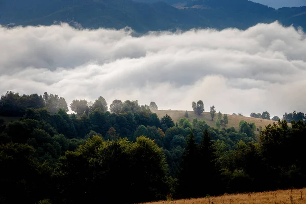 Belles Montagnes Matinales Dans Brouillard Montagnes Été — Photo