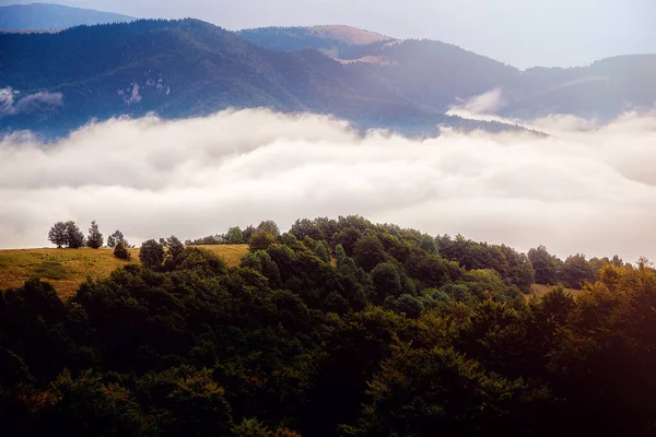 Hermosas Montañas Mañana Niebla Montañas Verano —  Fotos de Stock