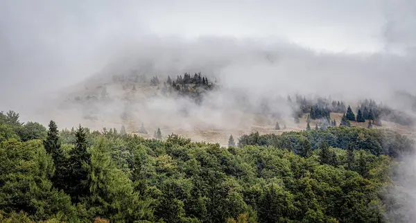 Güzel Sabah Dağları Sisli — Stok fotoğraf