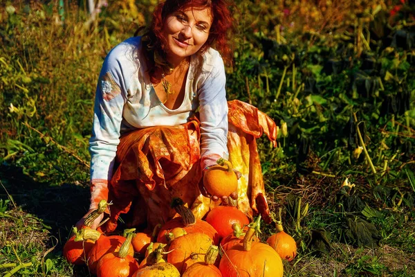 Biologischer Permakulturgarten Ernte Hokaido — Stockfoto