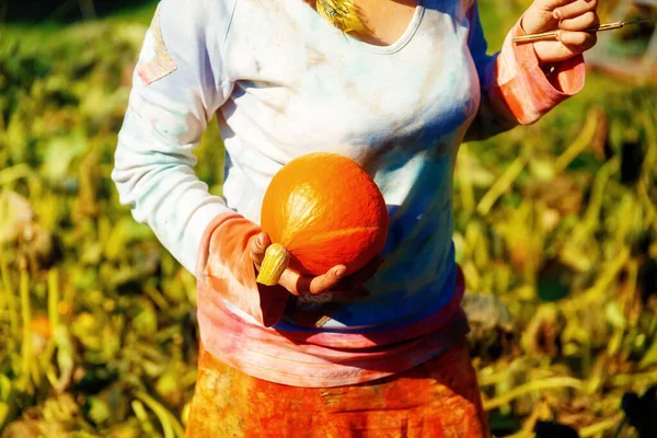 Donna Che Tiene Zucca Hokaido Nel Giardino Della Permacultura Biologica — Foto Stock