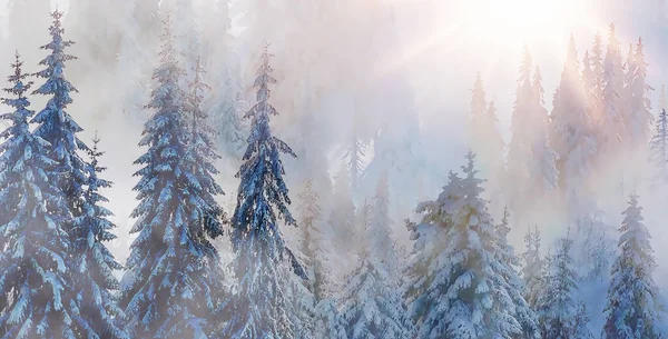 Ορεινό Χιονισμένο Τοπίο Και Χιονισμένα Δέντρα Γραφική Επίδραση — Φωτογραφία Αρχείου