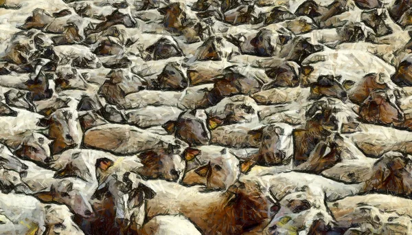 Flock lambs, Computer painting effect. — Stock Photo, Image