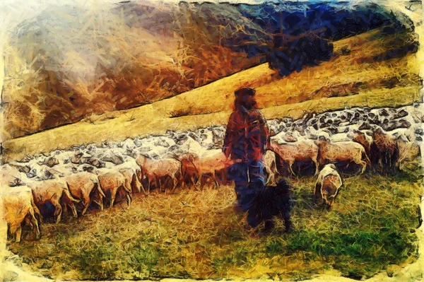 Rebaño de ovejas en el hermoso prado de montaña, efecto de pintura . —  Fotos de Stock