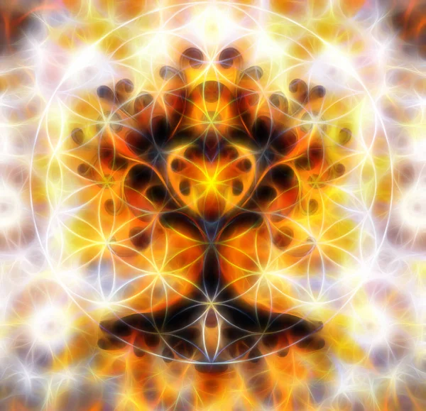 Arbre de symbole de vie, motif de fleur de vie, yggdrasil. Effet fractal . — Photo
