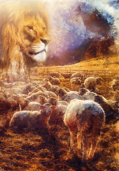 Agneaux et lion sur prairie de montagne, Effet peinture informatique. — Photo