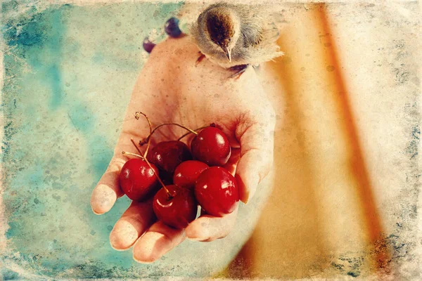 Mujer con cerezas en la mano, y con un pajarito . —  Fotos de Stock