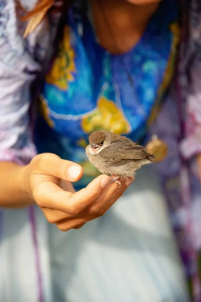 Mulher com um pequeno pássaro. pássaro na mão . — Fotografia de Stock
