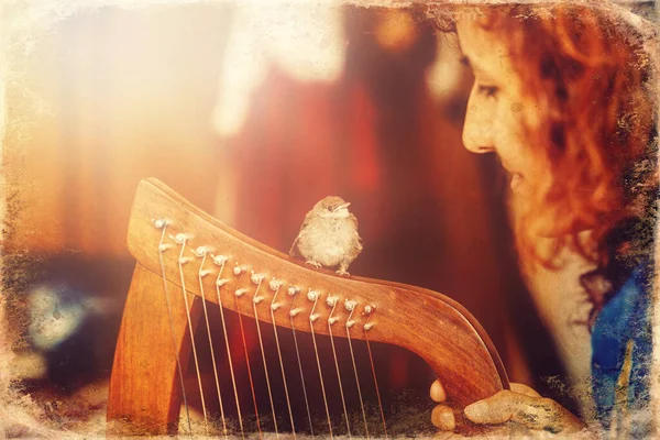 Young woman playing celtic harp and small bird, old photo effect. — Stock Photo, Image