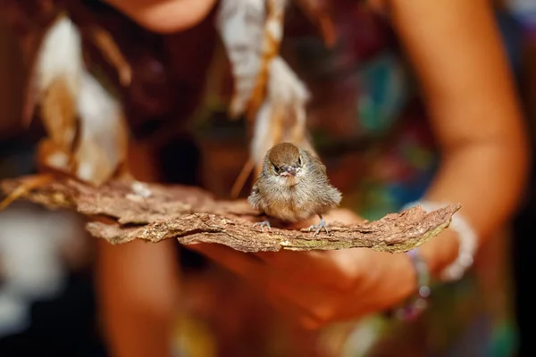 Woman with a small bird. bird in hand. — Stock Photo, Image