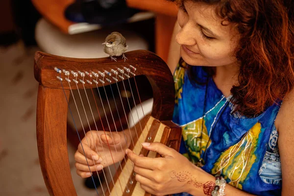 Jonge vrouw spelen Keltische harp en kleine vogel. — Stockfoto